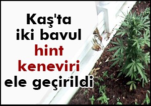 Kaş'ta iki bavul hint keneviri ele geçirildi