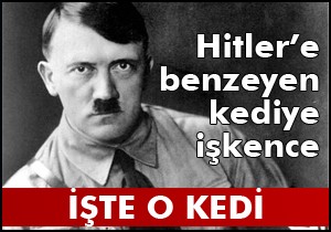 Hitler e benziyor diye kediye işkence