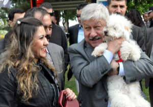 Büyükşehir'den ikinci köpek parkı