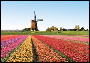 Hollanda, EXPO 2016'ya geliyor