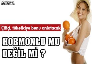 Çiftçi tüketiciye 'hormon'u anlatacak