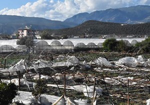 Demre'de hortumun zararı 11.7 milyon lira