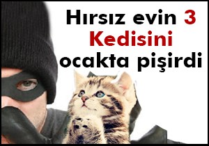 Hırsızlığa girdiği evde kedi pişirdi