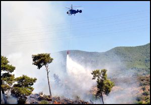 Alanya'da orman yangını