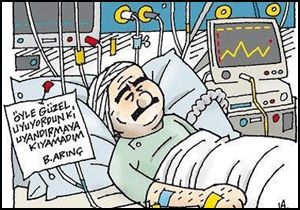 Arınç'ın sözleri karikatür konusu oldu