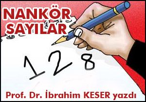 Nankör sayılar
