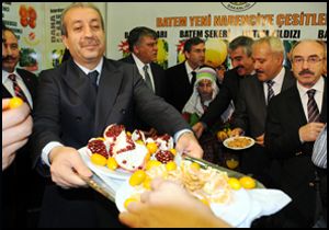 'Bütçeden sonra Expo kanunu geliyor'