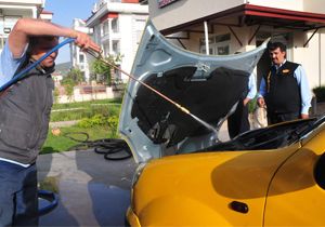 Fethiye'de taksiye giren yılan panik yarattı