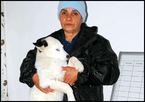 Otomobilin çarptığı köpeğe sahip çıktı