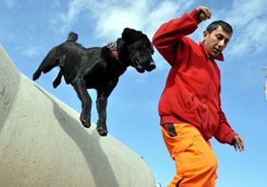 16 kişinin hayatını kurtaran köpekler eğitimde