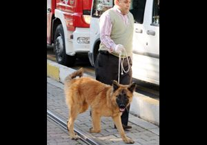 Uçurumdan köpek kurtarma operasyonu