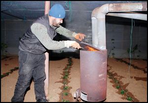 Serada sobalı don nöbeti