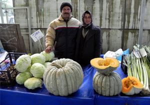 40 kiloluk balkabağı yetiştirdi