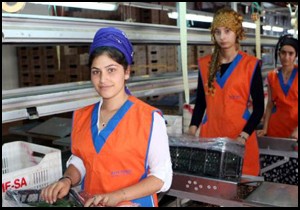 Rusya'ya sebze ve meyve ihracatı arttı