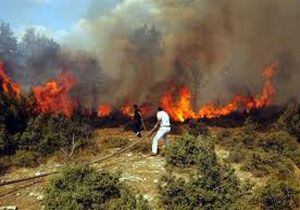 Antalya daki ot yangını ormana sıçramadan söndürüldü