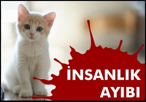 İnsanlık ayıbı