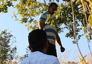 Eşiyle tartışıp evden çıktı, bir gün sonra ağaca asılı cesedi bulundu