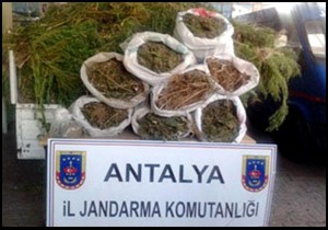 Jandarmadan zehir tacirlerine darbe