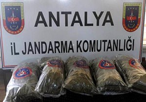 Jandarmadan uyuşturucu operasyonu