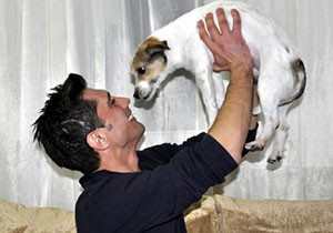 İnternet fenomeni köpek