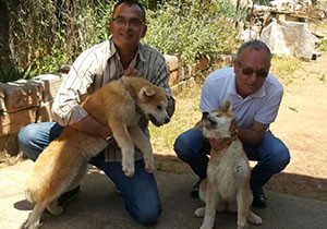 Çalınan köpekler güvenlik kamerasından bulundu