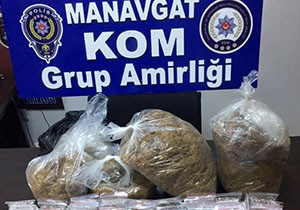 Manavgat'ta kaçak tütün operasyonu