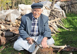 Kaş'ın ulu çınarı yaşamını yitirdi