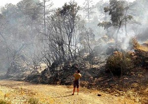 Kaş'ta yangın korkuttu