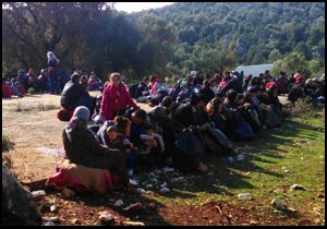 Demre'de 92 kaçak ve 8 insan kaçakçısı yakalandı