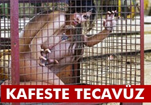 Kafeste tecavüz