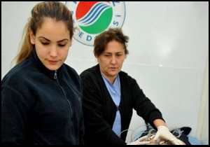 Kepezlinin kalbi kontrol edilecek