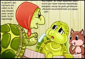 Diyanet Kaplumbağayı türbana soktu