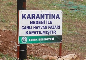 Hayvan pazarı karantinaya alındı