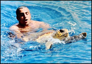 Misinaya dolanan caretta caretta'yı tekneciler kurtardı