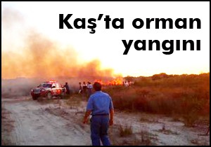 Kaş'ta orman yangını