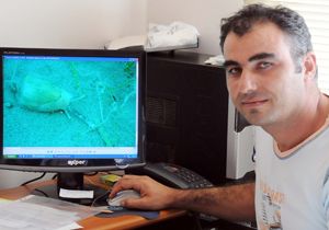 Katil yosuna karşı tek silah salyangoz
