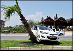 Otomobil ağaca çarptı: 1 yaralı