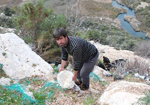 Bayat mayalı hamur keçileri telef etti iddiası