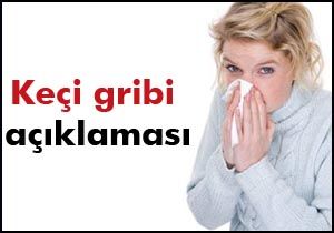 Türkiye'de keçi gribi var mı