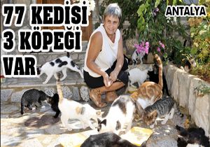 77 kedisi 3 köpeği var