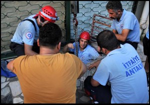 Yavru kedi 18 gün sonra 'tül ağ' ile kurtarıldı