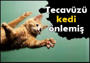 Tecavüzü kedi önlemiş