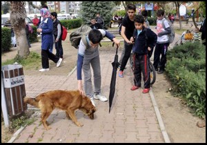 Öğretmen ve velinin  köpek besleme  kavgası