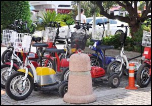 Kemer'de mypetler toplatılıyor
