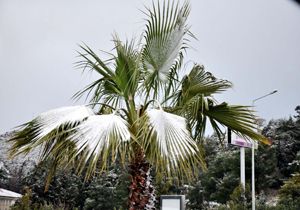 Alanya ve Kemer'e kar yağdı