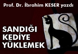 SANDIĞI KEDİYE YÜKLEMEK