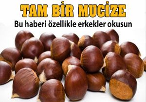 Kestane mucizesi