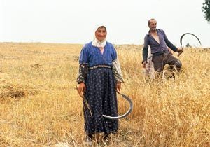 Kırsalda yoksul arttı