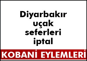 Diyarbakır'a uçak seferleri iptal