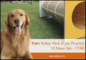 Köpek parkı açılıyor